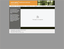 Tablet Screenshot of carrotcapital.com